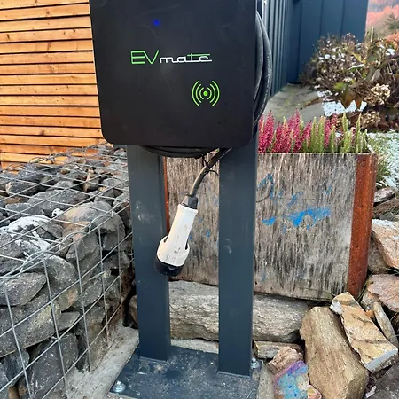 Slunecnice צ'רני דול